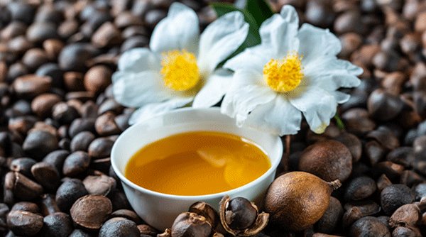 HAIRCOLOR GAR Tutte le proprieta ed i benefici dell olio di camelia per i capelli mobile