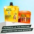Garnier Hair Booster VitaminaC 2