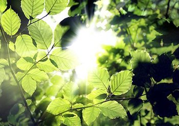 A proposito di Garnier - Bellezza sostenibile