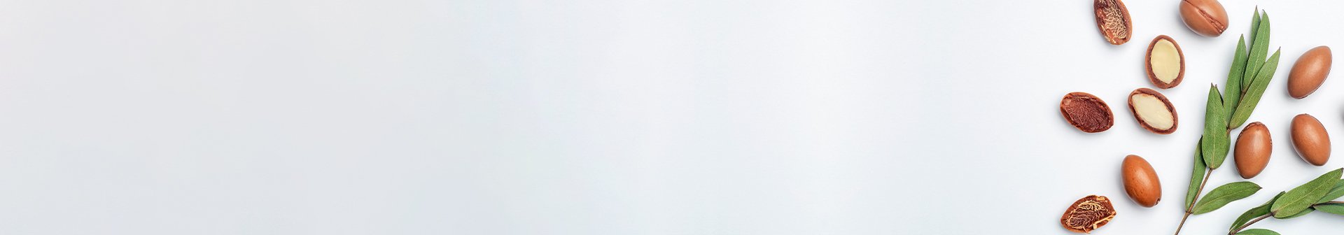 Proprieta e benefici dei prodotti con argan per i capelli-1