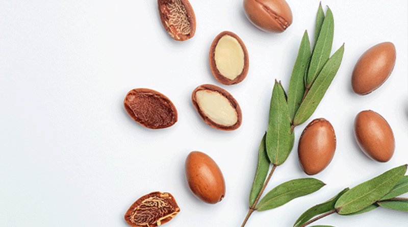 Proprieta e benefici dei prodotti con argan per i capelli-1