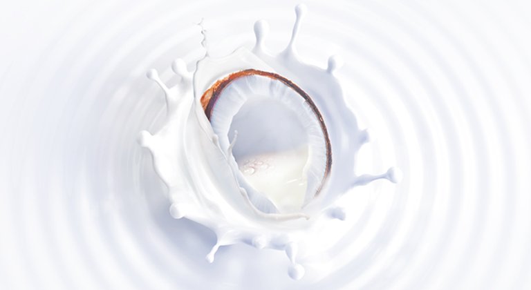 latte di cocco