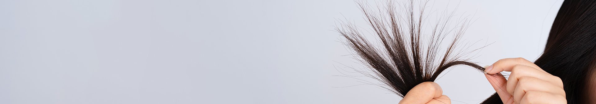 Cute Grassa e Punte Secche Come e Quale Shampoo Scegliere