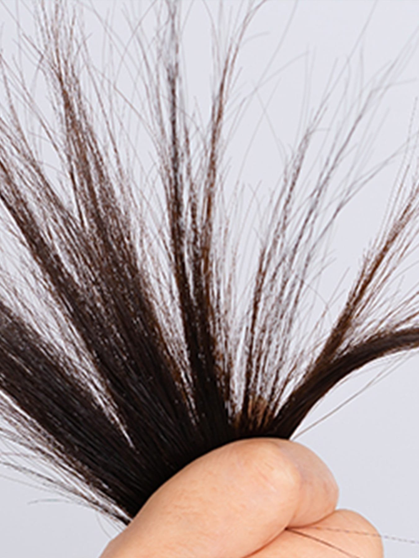 Cute-Grassa-e-Punte-Secche-Come-e-Quale-Shampoo-Scegliere_search