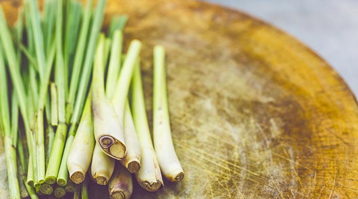 lemongrass_738x411