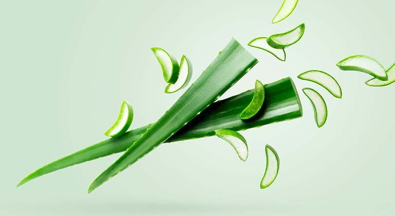 aloe