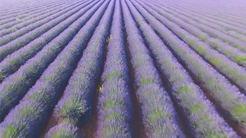 GARNIERBIO SUSTAINABLY content block video