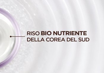 237081 GARNIER 950x670 ingredients