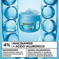 Ingredienti di Garnier Hyaluron Fresh&Plump Crema Sorbetto Idratante : niacinamide e acido ialuronico