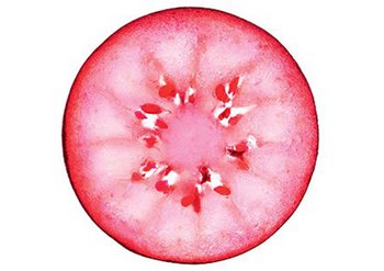 ingredienti acai content block imgs