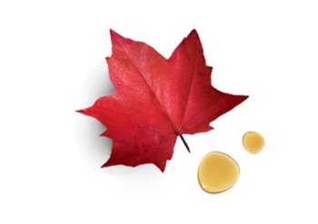 Ingredente Un elisir di lunga vita Garnier