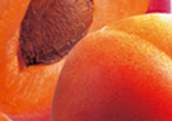 Ingredente - Garnier