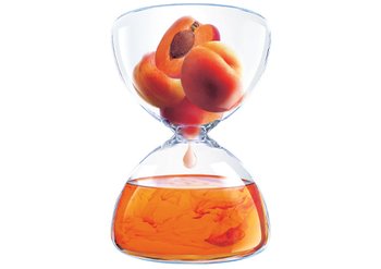 Ingredente - Garnier