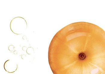 Ingredente Olio di Amla Garnier