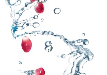 Ingrediente - Garnier