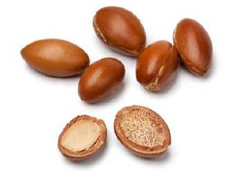 Ingrediente Olio d'Argan Garnier