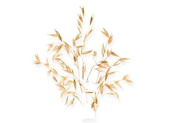 Ingrediente - Garnier