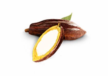 Ingrediente Burro di Cacao Garnier