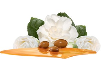Ingrediente Olio di Camelia Garnier