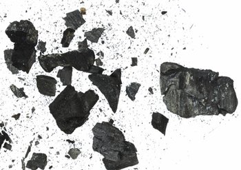 Ingrediente Carbone Vegetale Garnier