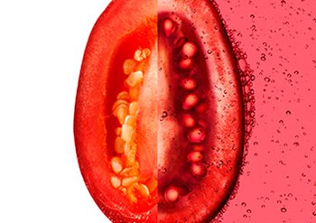 Ingrediente - Garnier