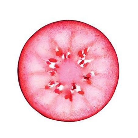 acai ingredientgroup