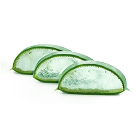 aloe ingredientgroup