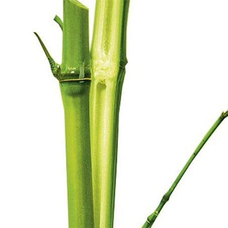 bambu ingredientgroup