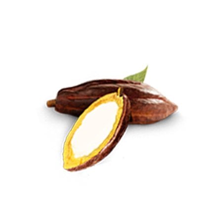 cacao ingredientgroup