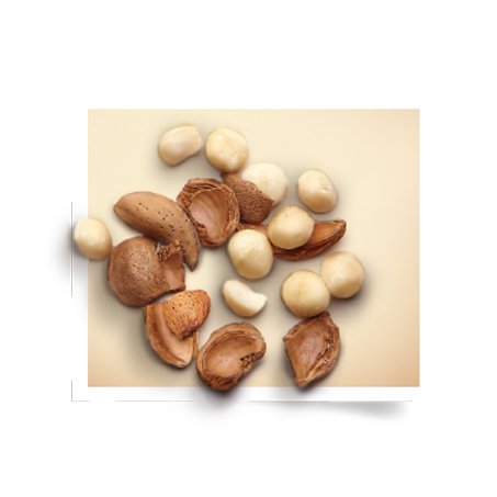 macadamia ingredientgroup