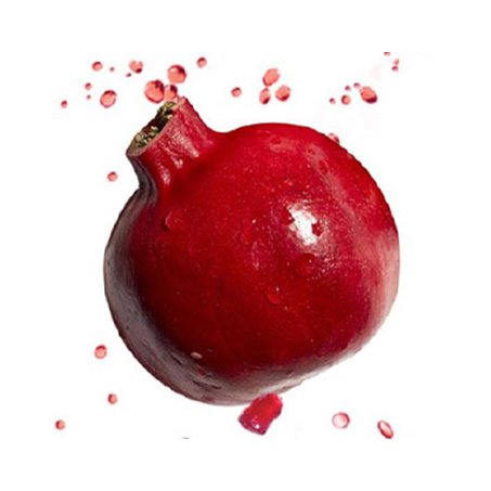 melograno ingredientgroup