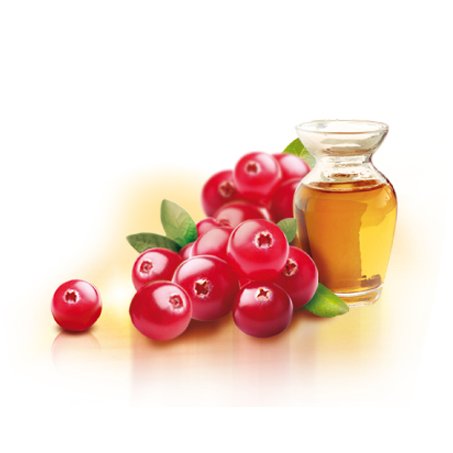 mirtillorosso ingredientgroup