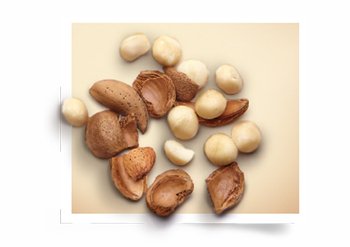 Ingrediente Olio di Macadamia Garnier