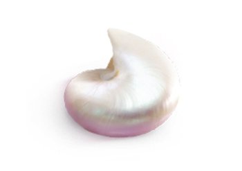 Ingrediente - Garnier