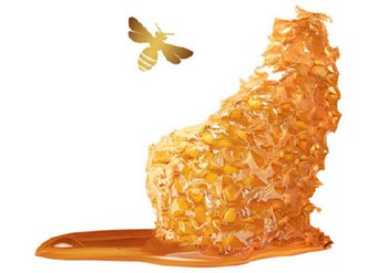 Ingrediente - Garnier