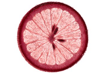 Ingrediente Essenza di Pompelmo Garnier