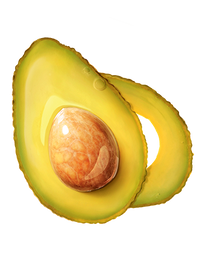 avocado_ing