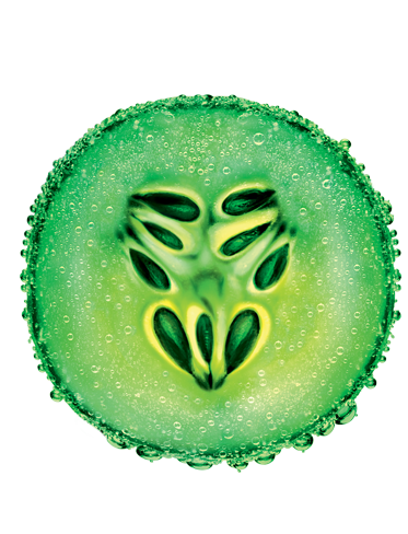 cetriolo_ing