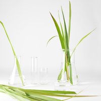 Garnier Bio Gel detergente viso lemongrass 3