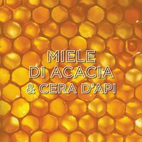 Garnier_Haircare_Ultra-Dolce-Tesori-Miele-_3600542509473PT02