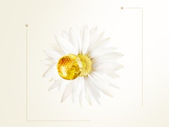UltraDolce-Estratto-di-Camomilla-e-Miele