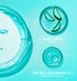 234787 GARNIER SkinActive Banner Sito Prodotti ALOE 400x417 v1 P2 17