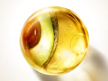 247208 GARNIER UD Olio di Avocado Content Block 600x450px v1 m9